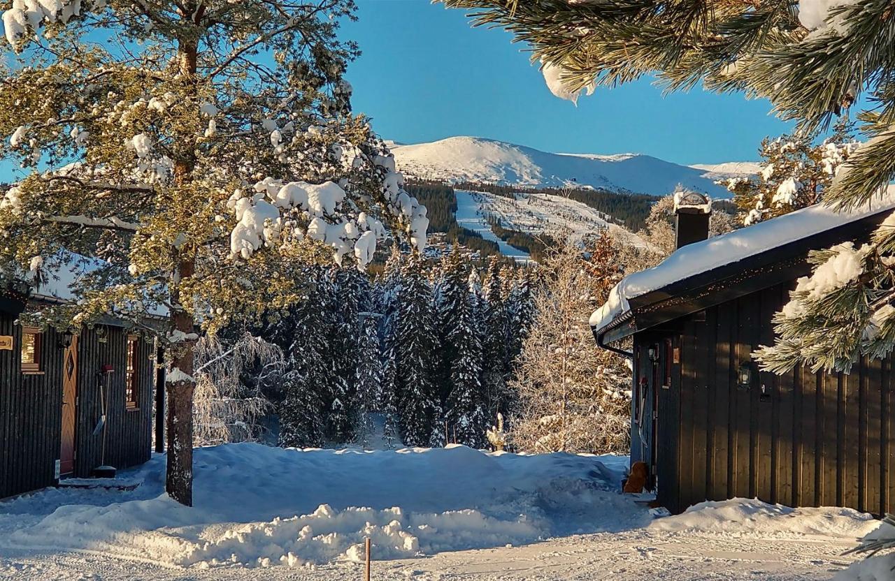 Trysil Hyttegrend Exterior photo